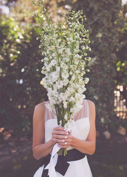 Bride holding a tall bouquet of white flowers